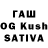 ГАШ hashish Ivone Segalla