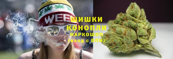 мяу мяу мука Вязьма