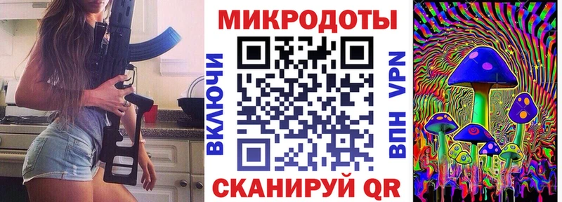 Галлюциногенные грибы Psilocybine cubensis  Заозёрный 
